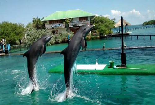 Acuario de San Martín
